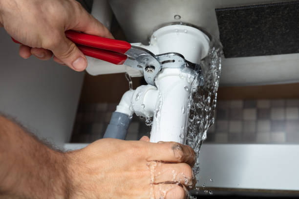 Best Professional water damage repair  in Fort Polk South, LA