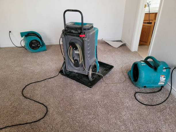 Best Sewage cleanup and water damage restoration  in Fort Polk South, LA