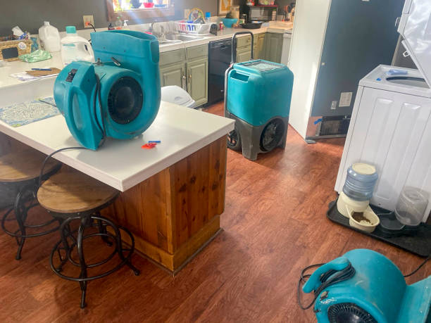 Best Mold removal after water damage  in Fort Polk South, LA