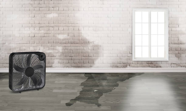 Best Commercial water damage restoration  in Fort Polk South, LA
