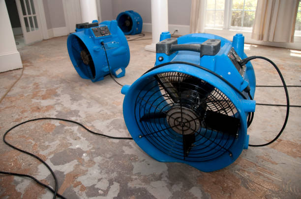 Professional Water damage restoration in Fort Polk South, LA