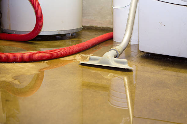 24/7 water damage repair in Fort Polk South, LA