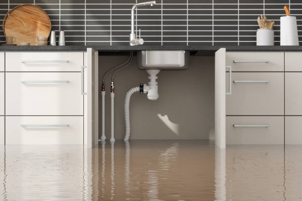 Best Professional water damage repair  in Fort Polk South, LA