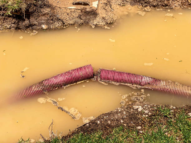 Best Residential water damage restoration  in Fort Polk South, LA