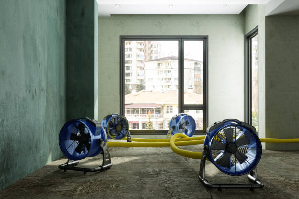 Best Sewage cleanup and water damage restoration  in Fort Polk South, LA