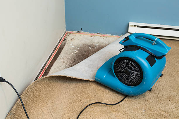 Best Ceiling water damage repair  in Fort Polk South, LA